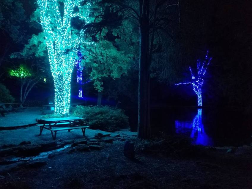 Nashville holiday outdoor lighting at Cheekwood Gardens